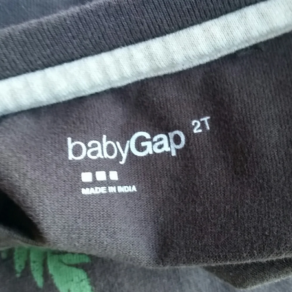 Baby GAP rhino tshirt size 2T